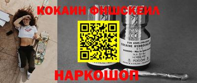 крисы Ливны