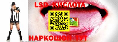 крисы Ливны